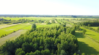 Bos en Doezumermieden Peebos