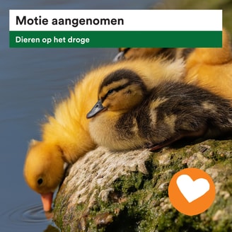 Motie Dieren op het droge