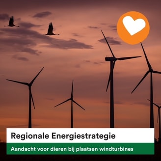 Vogels Windturbines