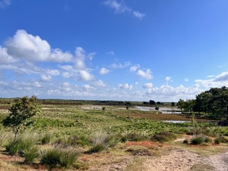 De Peel Landschap