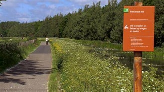 Bieslandse bos