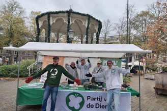Verkiezingsmarkt okt 2026