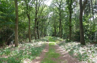 Oudetempel