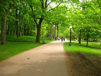 Park
