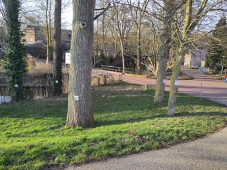 IMG 20260226 162757