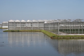 Kas water