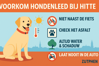 Honden hitte