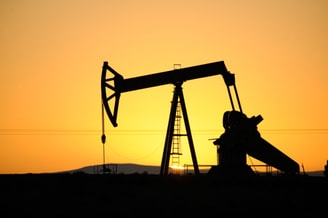 Jaknikker fossiele subsidies exportkredietverzekering