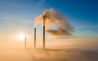 Ect energy charter treaty kolencentrale kolencentrales pvdd lammert van raan partij voor de dieren energiehandvest