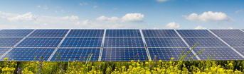 Zonnepanelen