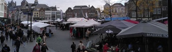 Partij voor de Dieren PvdD partij van de dieren dierenpartij pvvd pvdd esther ouwehand gemeenteraadsverkiezingen 2022 gemeente gemeenteraad verkiezingen groen duurzaam politiek Den Bosch den bosch vegan klimaat ´s-Hertogenbosch