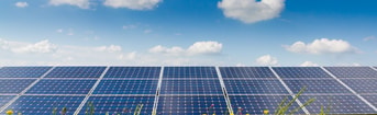 Stock Photo Photovoltaic Modules And Yellow Flowers 178694141