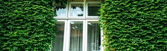 Wonen en bouwen
