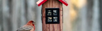 Huisjes