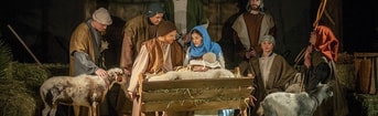 Levende kerststal