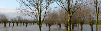 High Water 2940596 1920