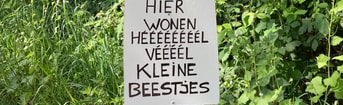 Kleinebeestjesberm