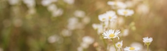 Micheile henderson w IHOF Lc Zl Hs unsplash