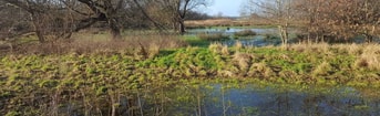 Natuur landschap