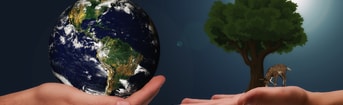 Planeet bomen op handen duurzaamheid