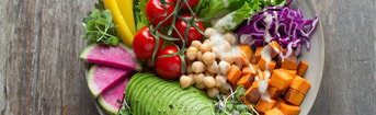 Plantaardig veganistisch carnivoor geef het door pvdd partij voor de dieren vegan 5