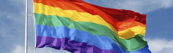 Regenboogvlag