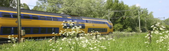 Trein ©Istockphoto Com Bies