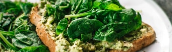 Carnivoor geef het door avocado spinanie brood
