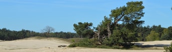 Natuur en biodiversiteit