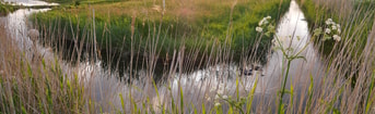 P1002155