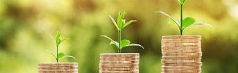 Economie