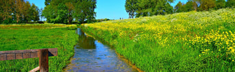 5 duurzaamnatuurwaterbeheer