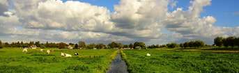 6 natuurlijkwaterpeil