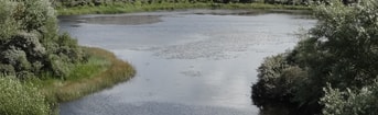 008_Pvd D_Rijnland_Meer_Katwijk-pxhere.com