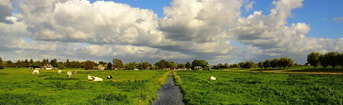 Natuurlijkwaterpeil