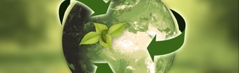 11zon cropped