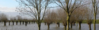 High water 2940596 1920