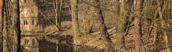 Landscape 4004627 1920