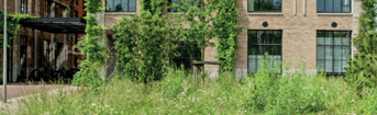 Schermafbeelding 2026 03 15 192601