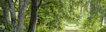 Shutterstock 728920675