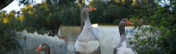 Samuel jeronimo Pptyyh Fjra4 unsplash