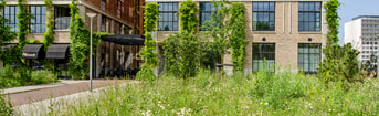 Hoofdstuk 5 Wonen en bouwen