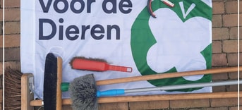 Clean up