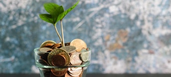 Duurzaam geld
