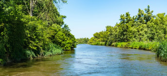 Shutterstock 1630472164 Biesbosch Dordrecht