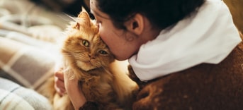 Vrouwkustkat
