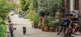 Groenindestraat