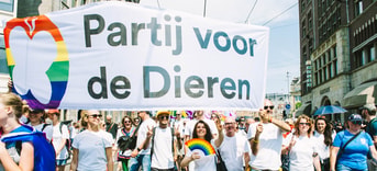 Pridewalk lhbt lhbti pride walk