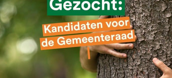 Gemeenteraadsverkiezingen