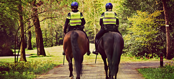 Politie te paard